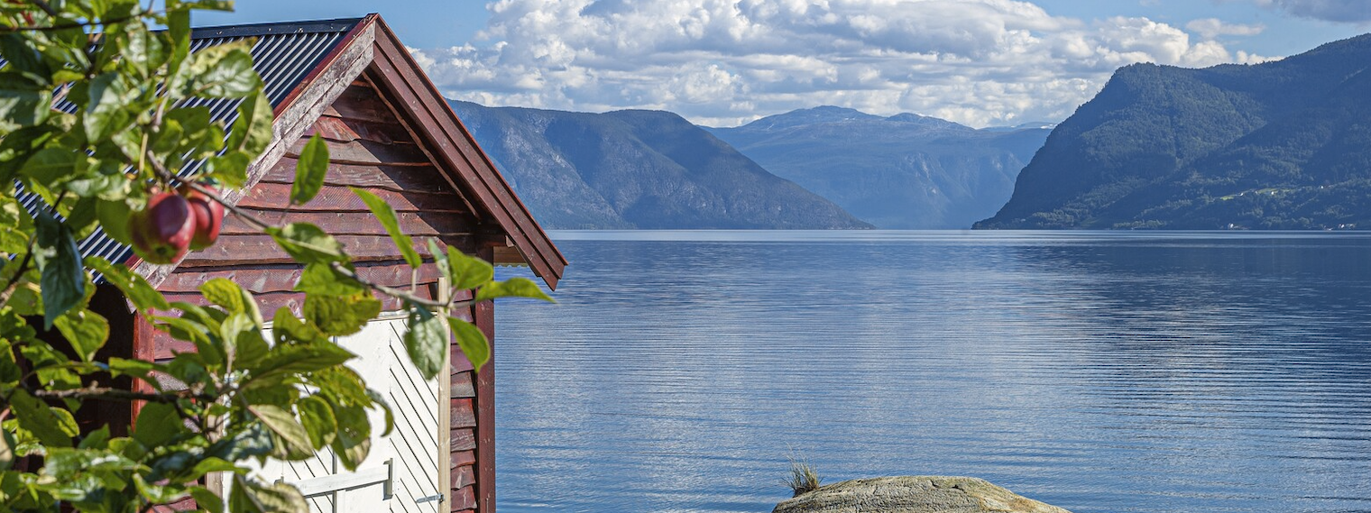 VinTour - More than just wine tourism !